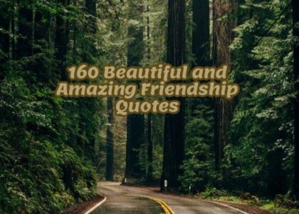 Friendship Quotes