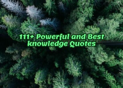 111+ Powerful and Best knowledge Quotes