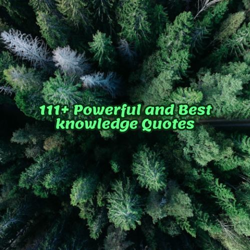 111+ Powerful and Best knowledge Quotes