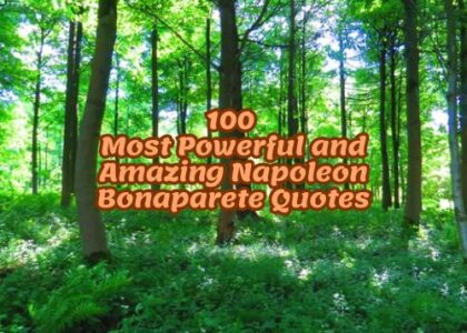 100 Most Powerful and Amazing Napoleon Bonaparete Quotes