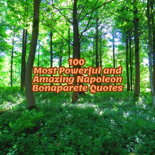 100 Most Powerful and Amazing Napoleon Bonaparete Quotes