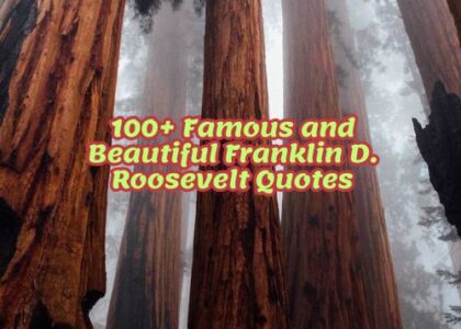 100+ Famous and Beautiful Franklin D. Roosevelt Quotes