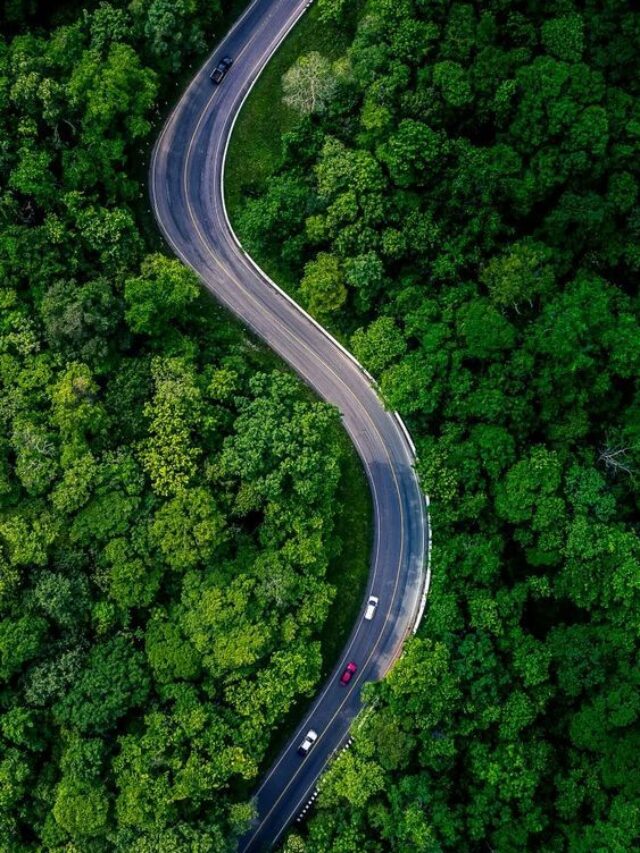 12 Success Quotes for better future 2024