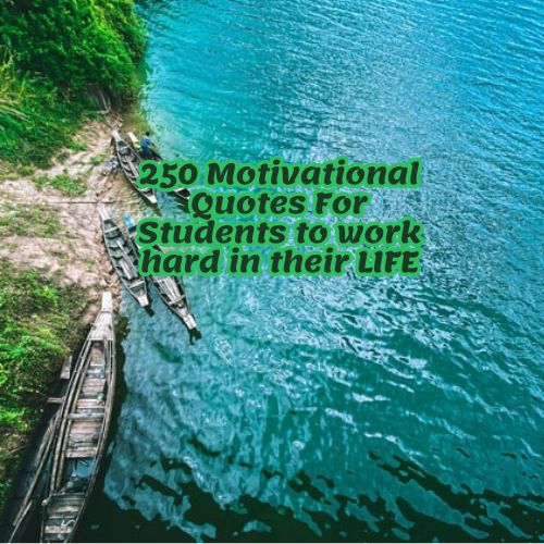 250 Motivational Quotes For Students to work hard in their LIFE