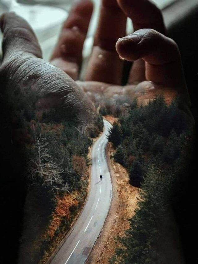 12 Most Uplifting and Inspiring Motivational Quotes-2024