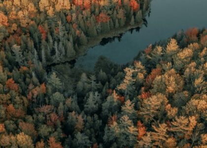 12 Powerful and Famous Motivational quotes 2024