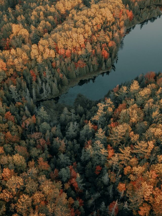 12 Powerful and Famous Motivational quotes 2024