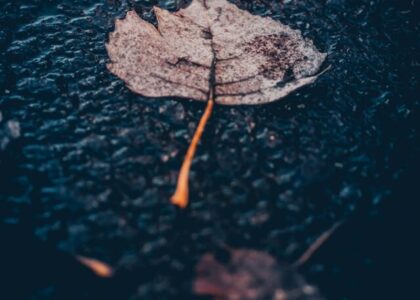 11 Finding Happiness Quotes about LIFE