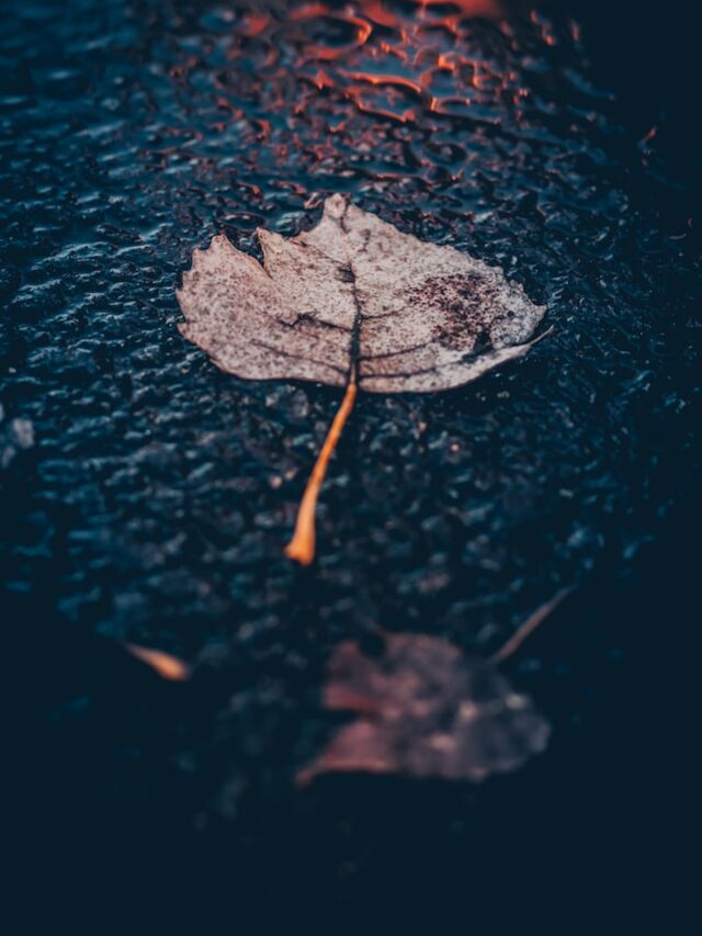 11 Finding Happiness Quotes about LIFE