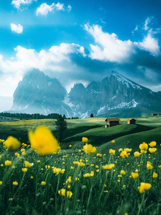 Powerful Life Changing Quotes 2024