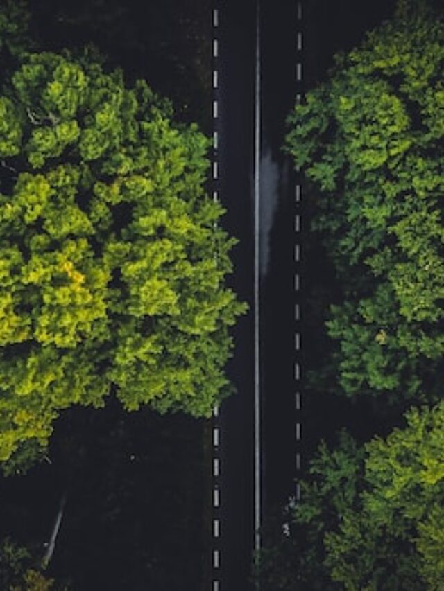 Inspirational Quotes for Life #2024