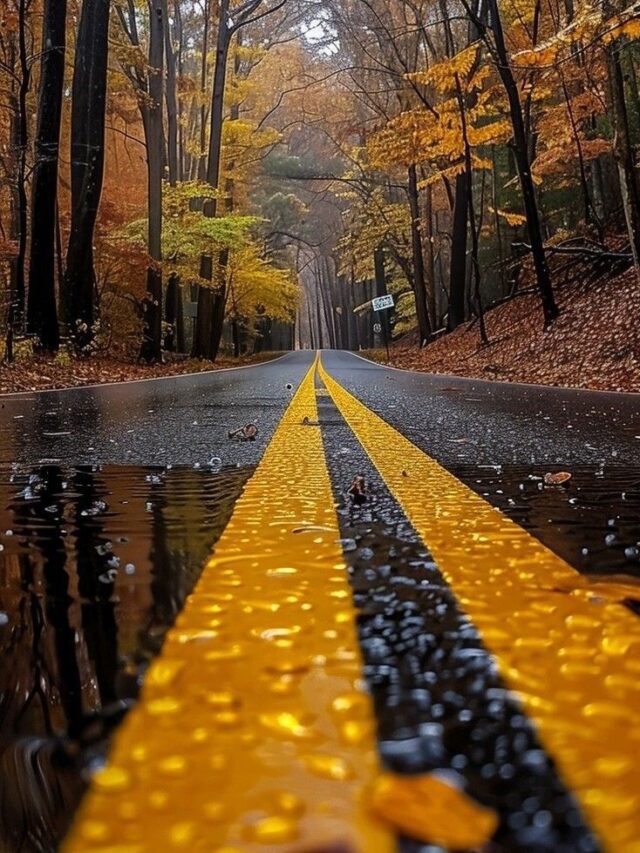 When The Mind Is Free Of Fear…