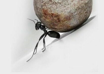 When there is magic in mind, you see it everywhere.