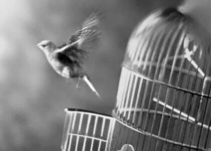 There is only one thing that makes a dream impossible..