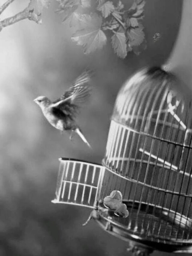 There is only one thing that makes a dream impossible..