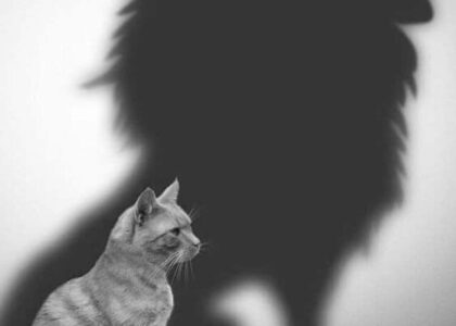 Don't be afraid of experience, because the more....