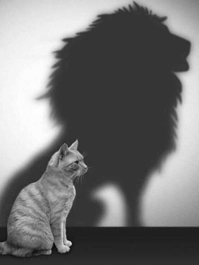 Don’t be afraid of experience, because the more….