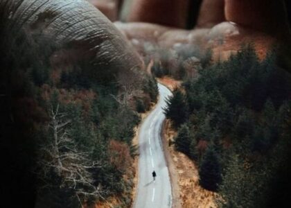 Action may not always bring happiness, but there is...