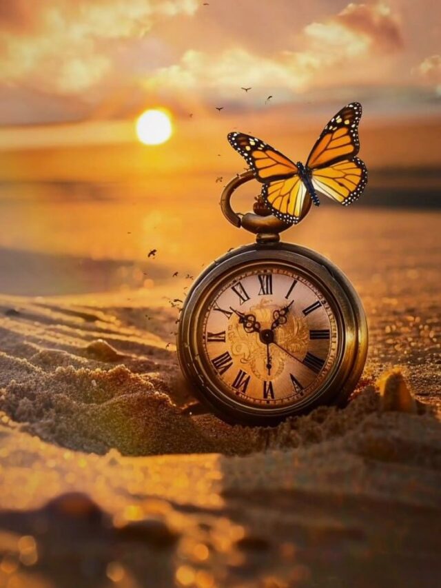 When you focus on being the best person you can be,…