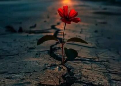 Moving Faster does not raise your vibration, being slower does.