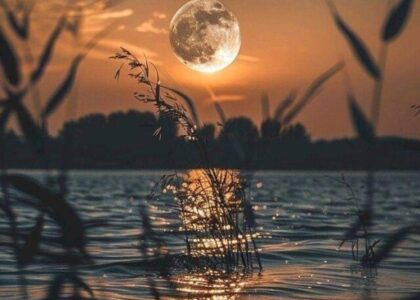 The greatest power in the world lies within words.