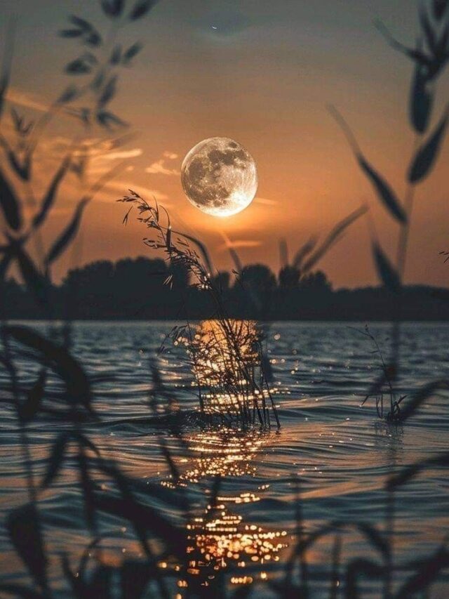 The greatest power in the world lies within words.