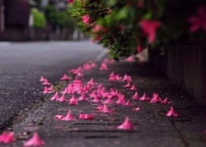 Words have Power, put them to use in improving Life.