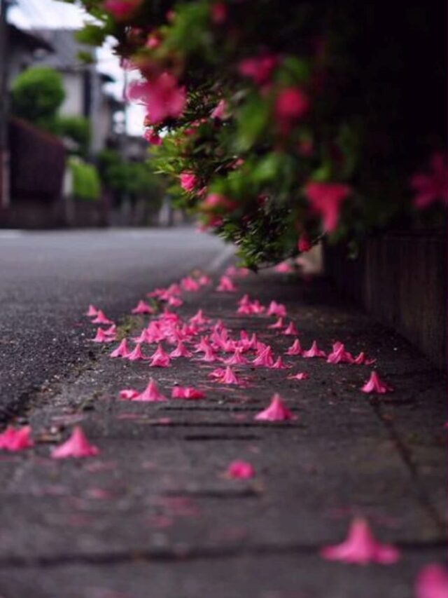 Words have Power, put them to use in improving Life.