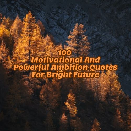 100 Motivational And Powerful Ambition Quotes For Bright Future