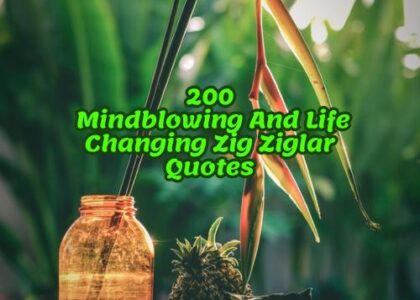 200 Mindblowing And Life Changing Zig Ziglar Quotes