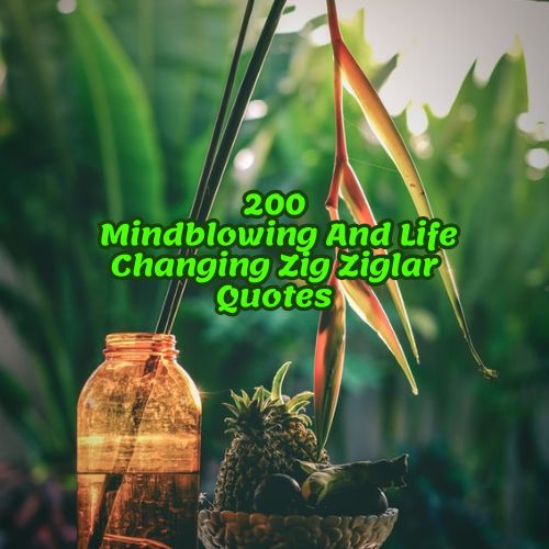 200 Mindblowing And Life Changing Zig Ziglar Quotes