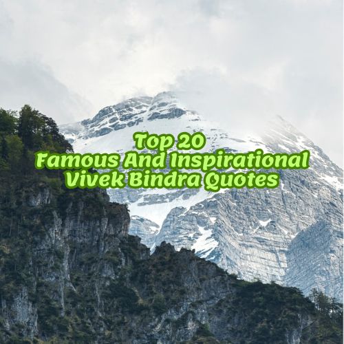 Top 20 Famous And Inspirational Vivek Bindra Quotes