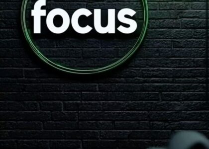 We learn From Failure, Not From Success