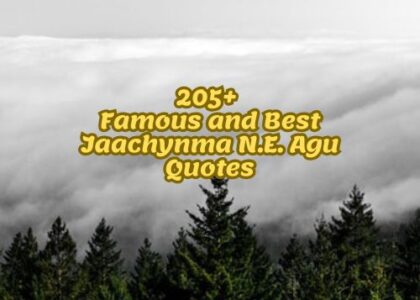 205+ Famous and Best Jaachynma N.E. Agu Quotes