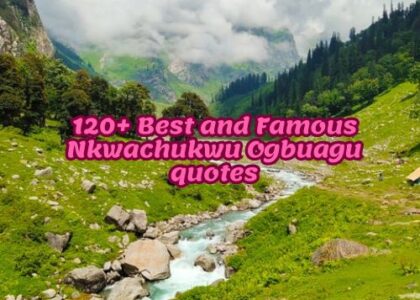 120+ Best and Famous Nkwachukwu Ogbuagu quotes