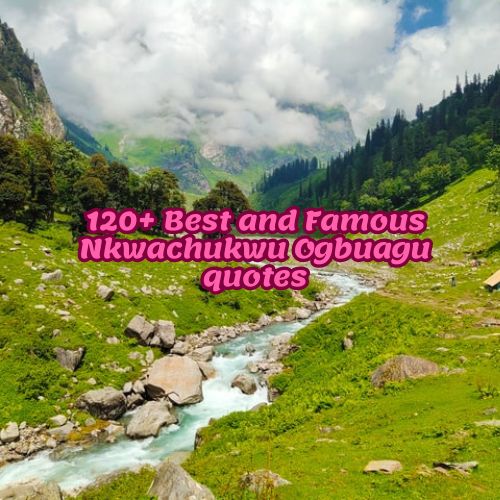 120+ Best and Famous Nkwachukwu Ogbuagu quotes