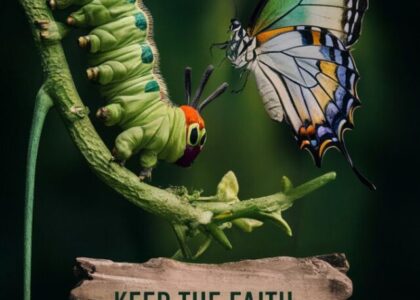 The more I live, the More I learn