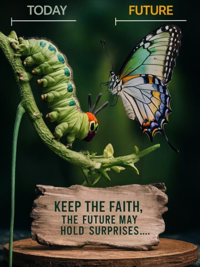 The more I live, the More I learn