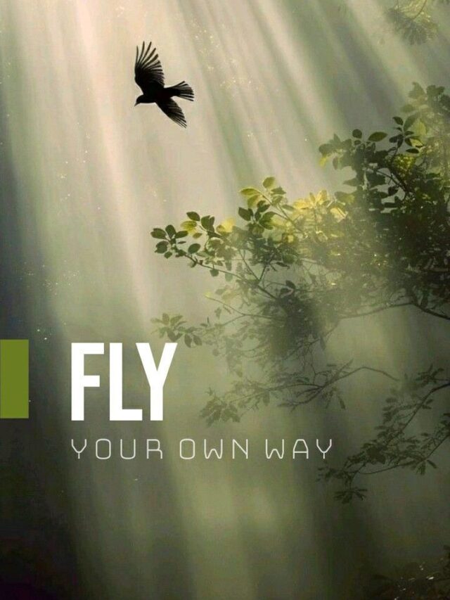 Master your character while nobody is watching in Privacy