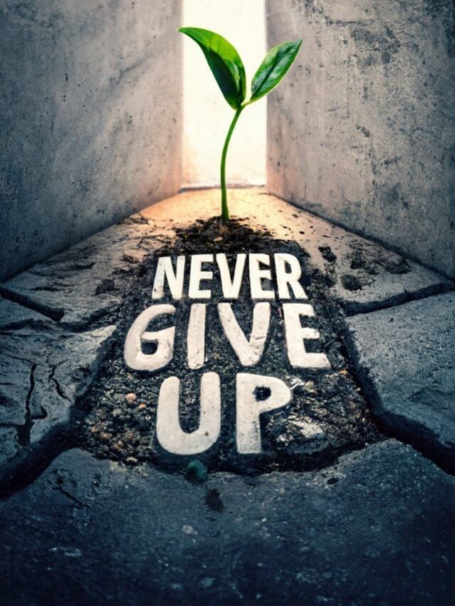 Release doubts and trust in your innate wisdom.