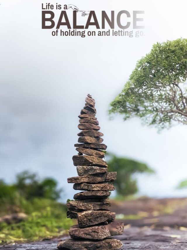 If you suck of something admit it. But don’t just stop at that.