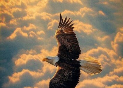 One can believe in story without believing in happened