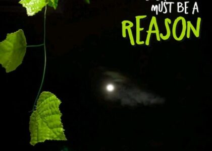 Nothing is particularly hard if you divided it into small jobs