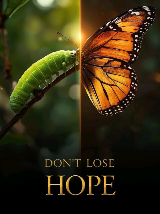 Anything That is Nourished It Flourished