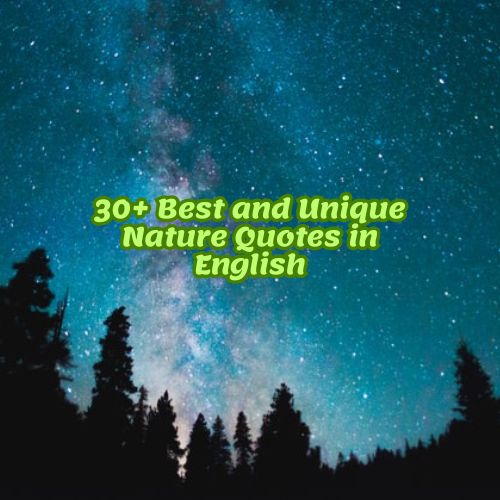 30+ Best and Unique Nature Quotes in English