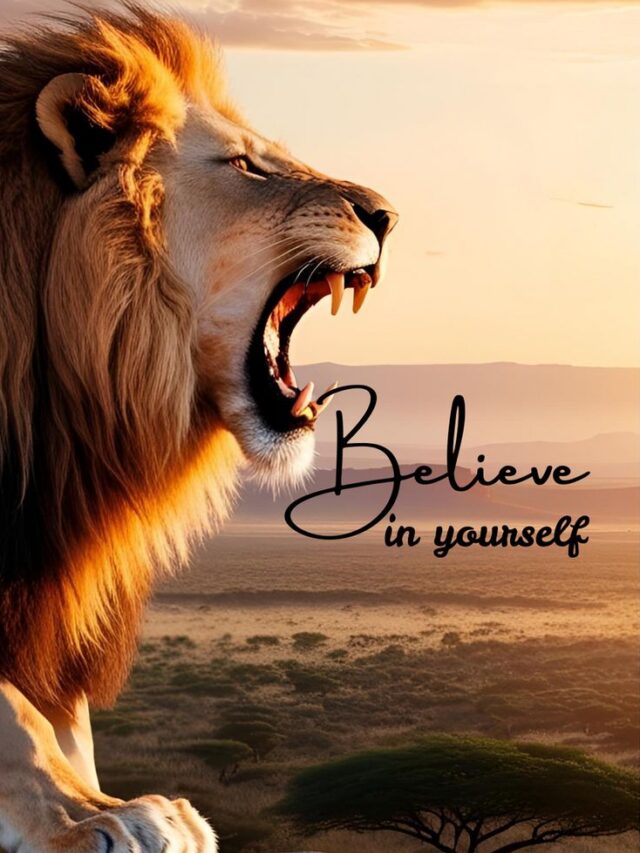 Never give up on yourself, even if others starts giving up on you.