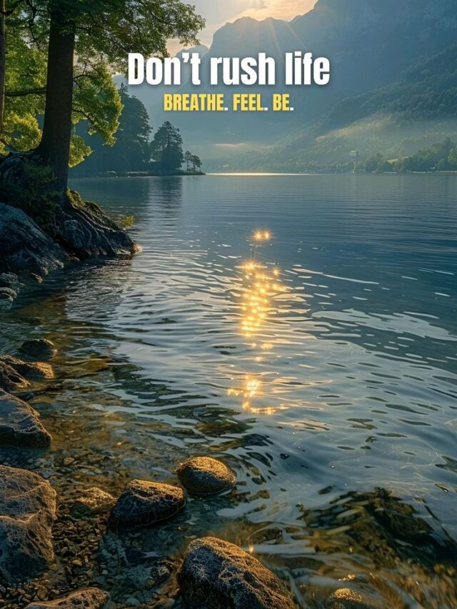 The only Failure is failing to learn from Failure.