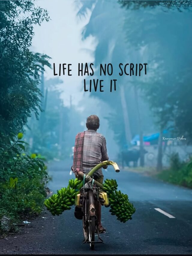 There is no gain without any pain.