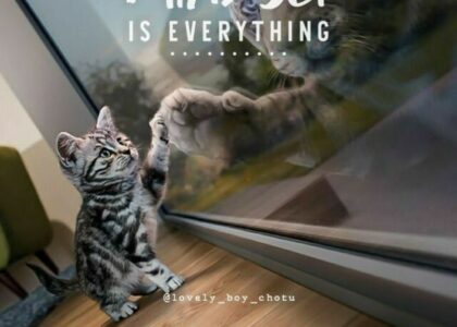 Strength appears when you continue to stand tall.