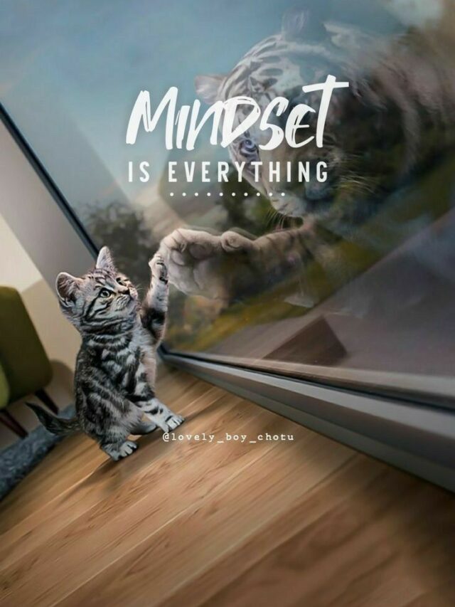 Strength appears when you continue to stand tall.